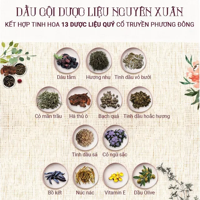 Dầu Gội NGUYÊN XUÂN Dược Liệu Phục Hồi Hư Tổn Chăm Sóc Tóc
